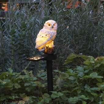 Hi soldrevet led-lampe til have ugle hvid