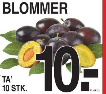 BLOMMER