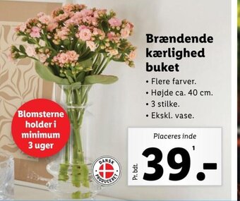 Lidl Brændende kærlighed buket tilbud