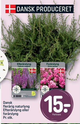 REMA 1000 Dansk flerårig naturlyng Efterårslyng eller forårslyng Pr. stk. tilbud