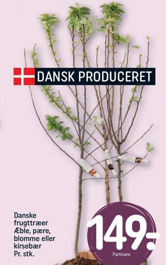 Danske frugttræer Æble, pære, blomme eller kirsebær Pr. stk.