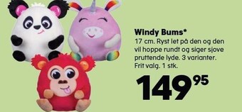 Windy bums