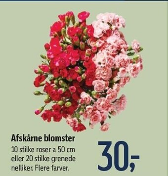 Føtex Afskårne blomster tilbud