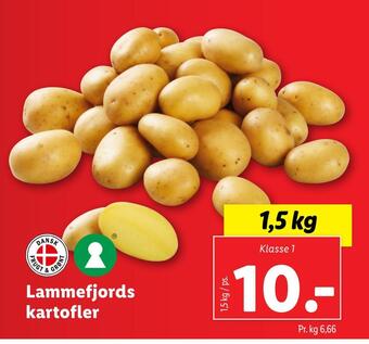 Lidl Lammefjords kartofler tilbud