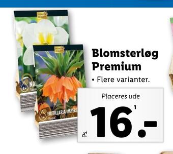 Lidl Blomsterløg premium tilbud