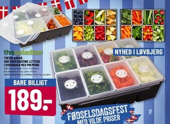 Løvbjerg Thesaladbar opbevaringsboks tilbud