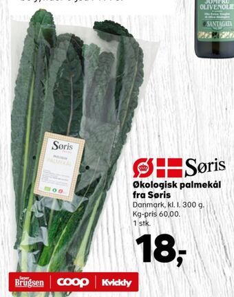 Søris palmekål