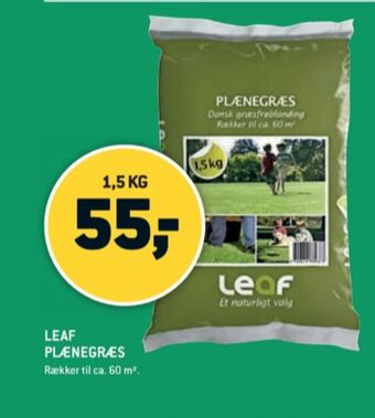 XL-BYG Leaf græsfrø tilbud