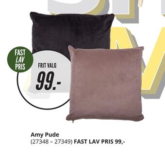 Amy pude