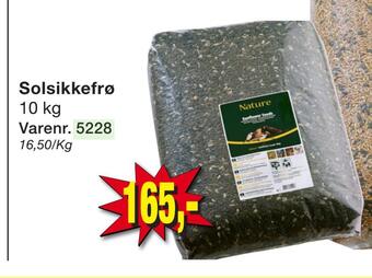 Harald Nyborg Solsikkefrø tilbud