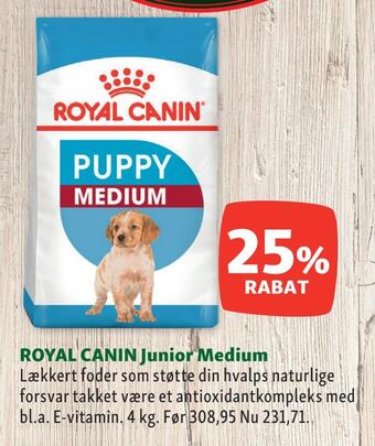 Maxi Zoo Royal canin junior medium tilbud
