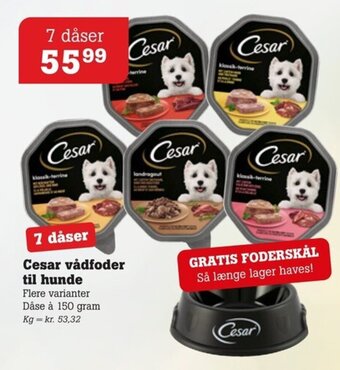 Poetzsch Padborg Cesar vådfoder til hunde tilbud