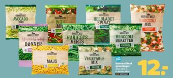Netto Harvest best avocado tilbud