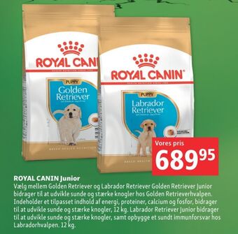 Maxi Zoo Royal canin hundefoder tilbud