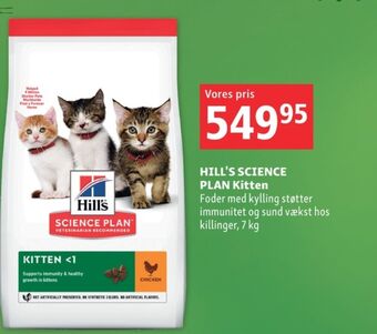 Maxi Zoo Science plan kattefoder tilbud