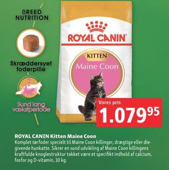 Maxi Zoo Royal canin kattefoder tilbud