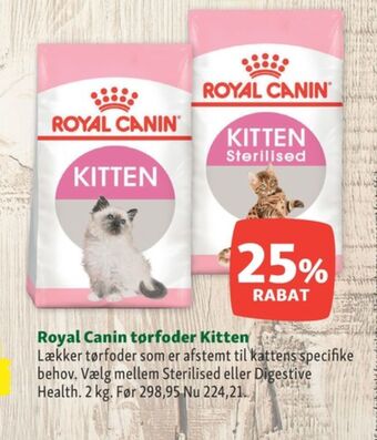 Maxi Zoo Royal canin kattefoder tilbud