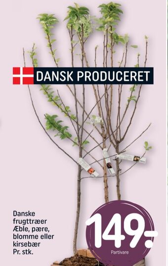 REMA 1000 Ukendt planter tilbud