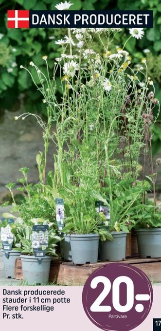 REMA 1000 Ukendt planter tilbud