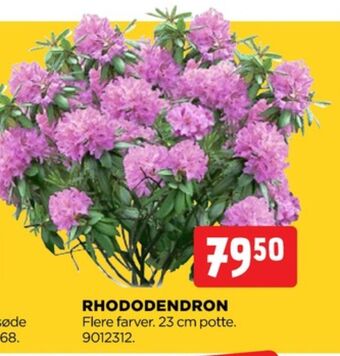 jem & fix Ukendt planter tilbud