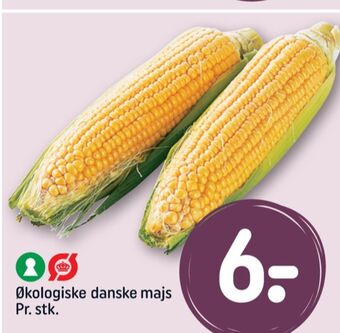REMA 1000 Ukendt majskolbe tilbud
