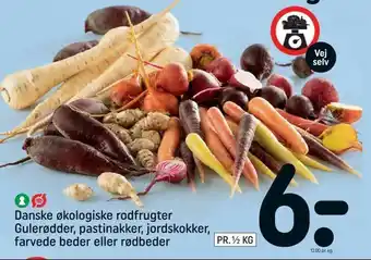 Danske økologiske rodfrugter Gulerødder, pastinakker, jordskokker, farvede beder eller rødbeder