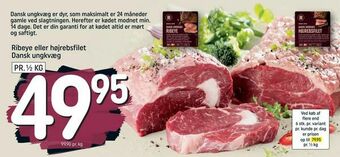 REMA 1000 Ribeye eller højrebsfilet Dansk ungkvæg tilbud