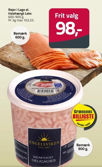 Fleggaard Rejer i Lage el. Halehængt Laks tilbud