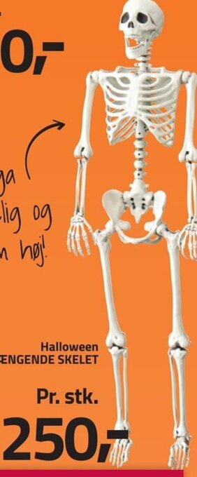 Fleggaard Halloween HÆNGENDE SKELET tilbud