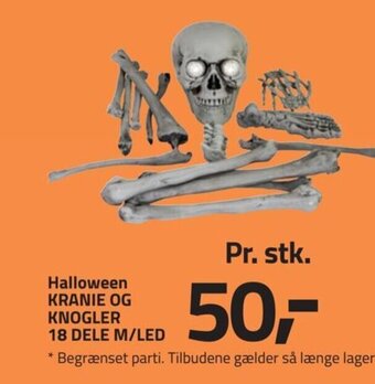Fleggaard Halloween KRANIE OG KNOGLER 18 DELE M/LED tilbud
