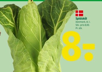 Spidskål