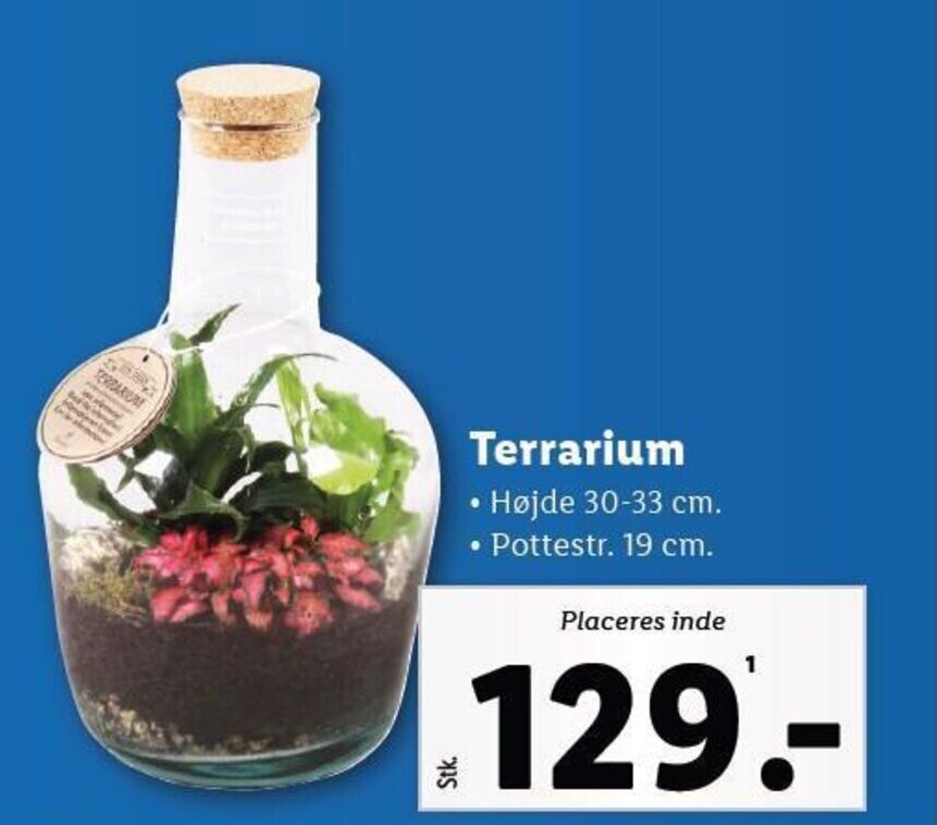 Terrarium tilbud hos Lidl
