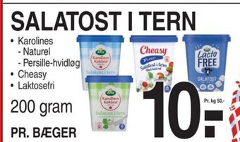 ABC Lavpris SALATOST I TERN tilbud