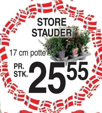 ABC Lavpris STORE STAUDER tilbud