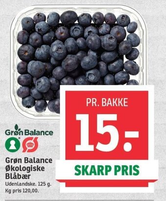 SPAR Grøn Balance Økologiske Blåbær tilbud