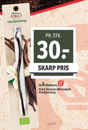 Grøn Balance Økologisk Vaniljestang