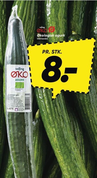 Økologisk agurk