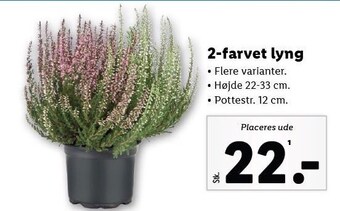 Lidl 2-farvet lyng tilbud