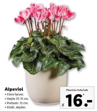 Lidl Alpeviol tilbud
