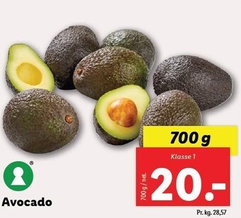 Lidl Avocado tilbud