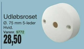 Udløbsroset