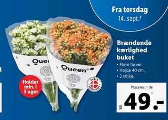 Lidl Brændende kærlighed buket tilbud