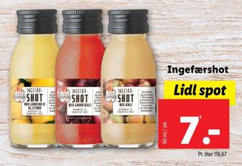 Lidl Ingefærshot tilbud