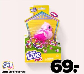 Little live pets fugl