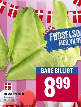 Løvbjerg Ukendt spidskål tilbud