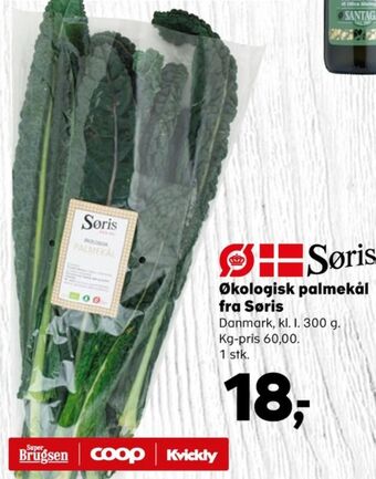 Søris palmekål