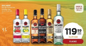 Scandinavian Park Bacardí tilbud