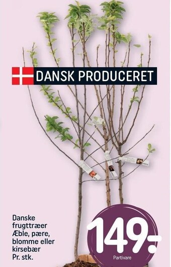 REMA 1000 Danske frugttræer tilbud