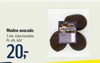Føtex Modne avocado tilbud