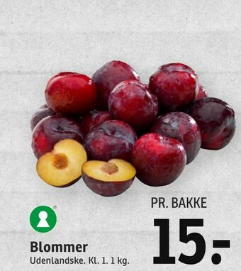 Blommer